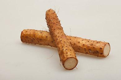 新一届夏日游戏节2026确定2026年6月5日举行